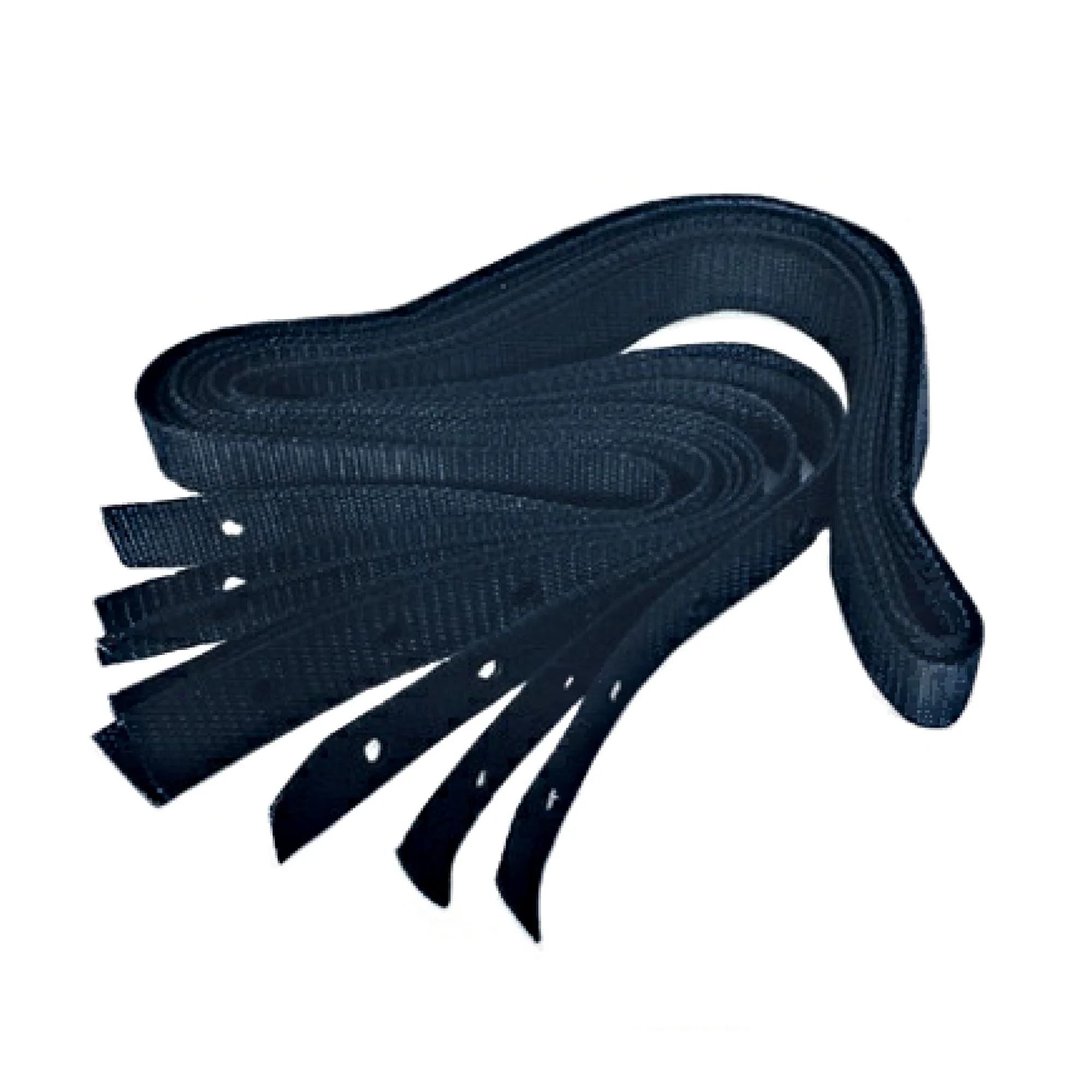 Courroie pour piscine Trévi 75133/75166/75167