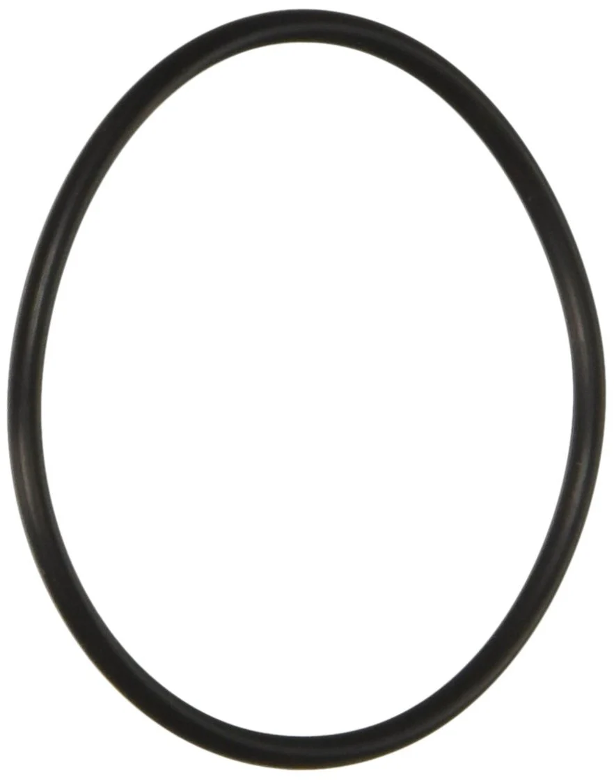 Joint étanche pour filtreur Swimclear Hayward
