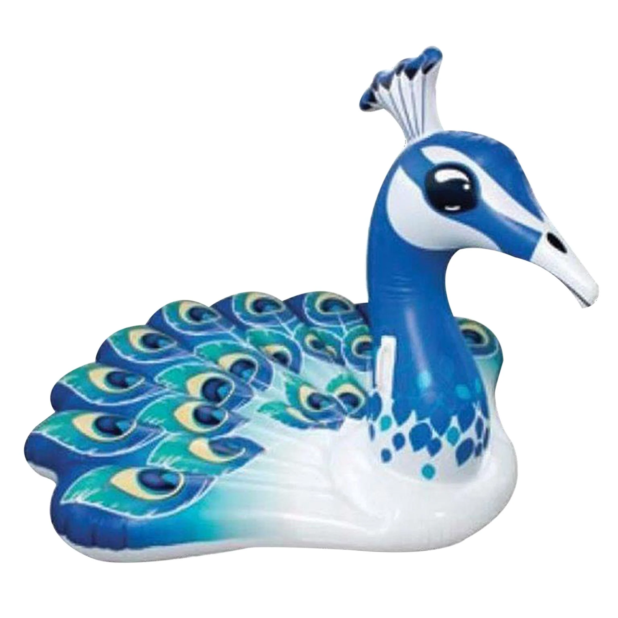 Paon bleu géant